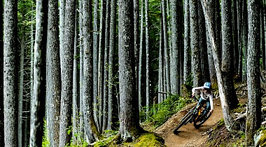 Jack of all Trails, Master of Fun: Trek stellt das brandneue Fuel EX vor