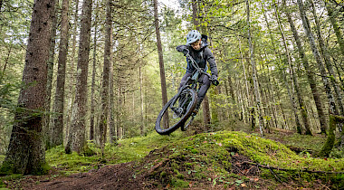 Schutzausrüstung auf dem Trail: Wir testen Protektoren